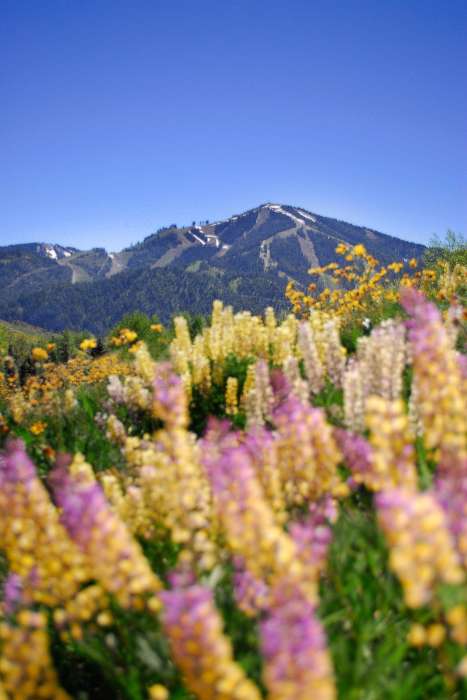Sun Valley Summer- Outdoor Activities
